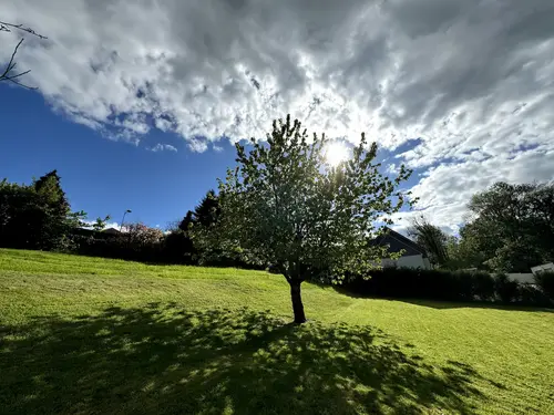 e52d53ee-4acb-43a0-9a02-39d662315186 (1)